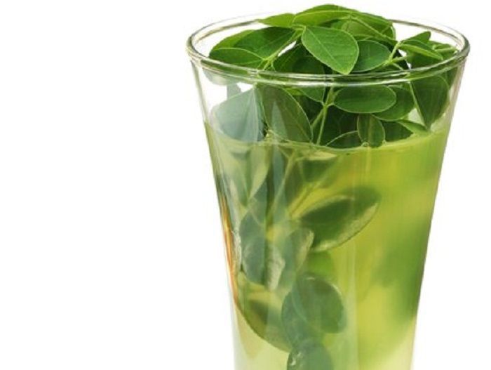 Moringa Oleifera, Tumbuhan Kecil yang Punya Khasiat Bantu Atur Gula Darah 