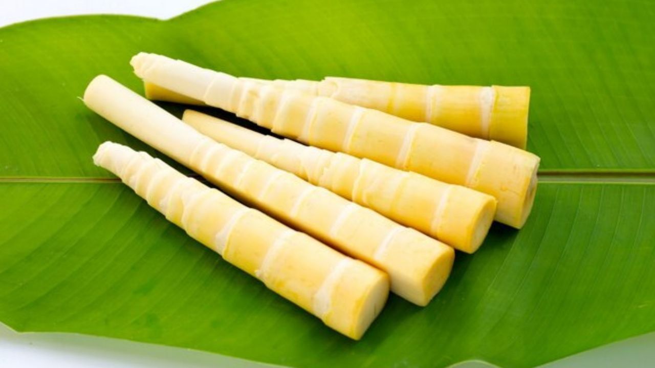 Beragam Manfaat Bambu: Tumbuhan Ajaib yang Baik untuk Lingkungan, Ekonomi, dan Kesehatan