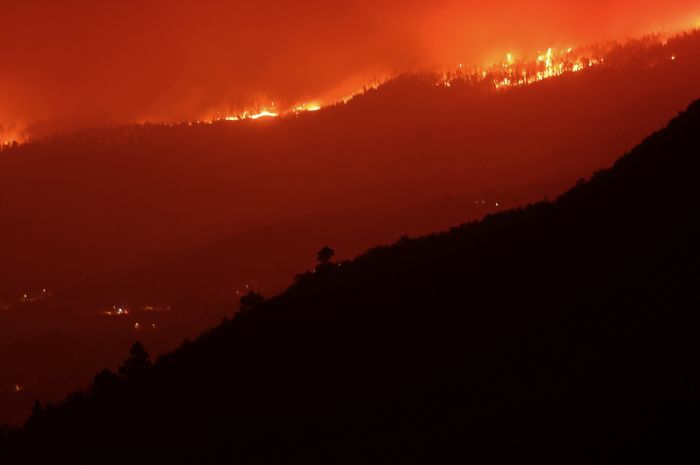 Kebakaran Hutan di Tenerife, Spanyol Makin Memburuk, Puluhan Ribu Warga Terpaksa Dievakuasi