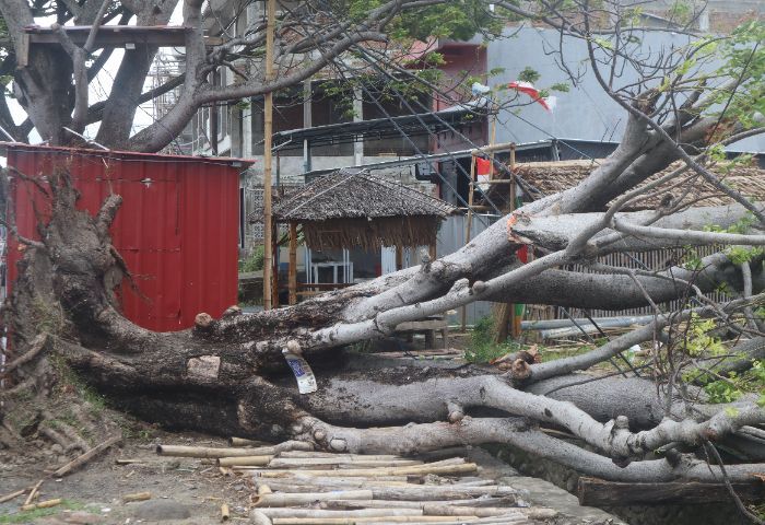 Banyak Laporan Pohon Tumbang, Kapolsek Soreang Imbau Warga Waspada Hadapi Cuaca Ekstrem