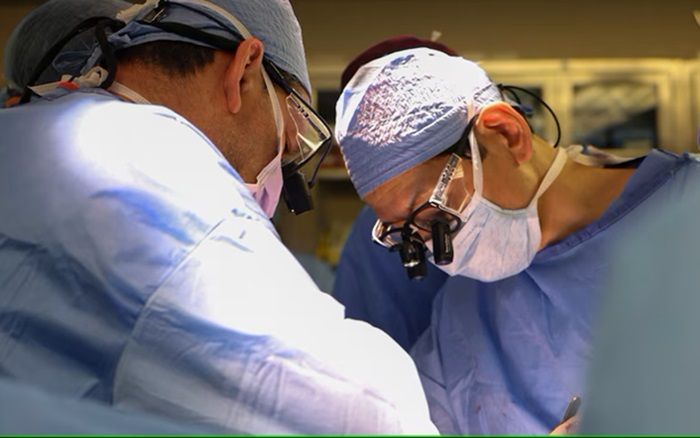 Pertama Kali Dalam Sejarah, Dokter Sukses Cangkok Ginjal Babi ke Manusia Hidup