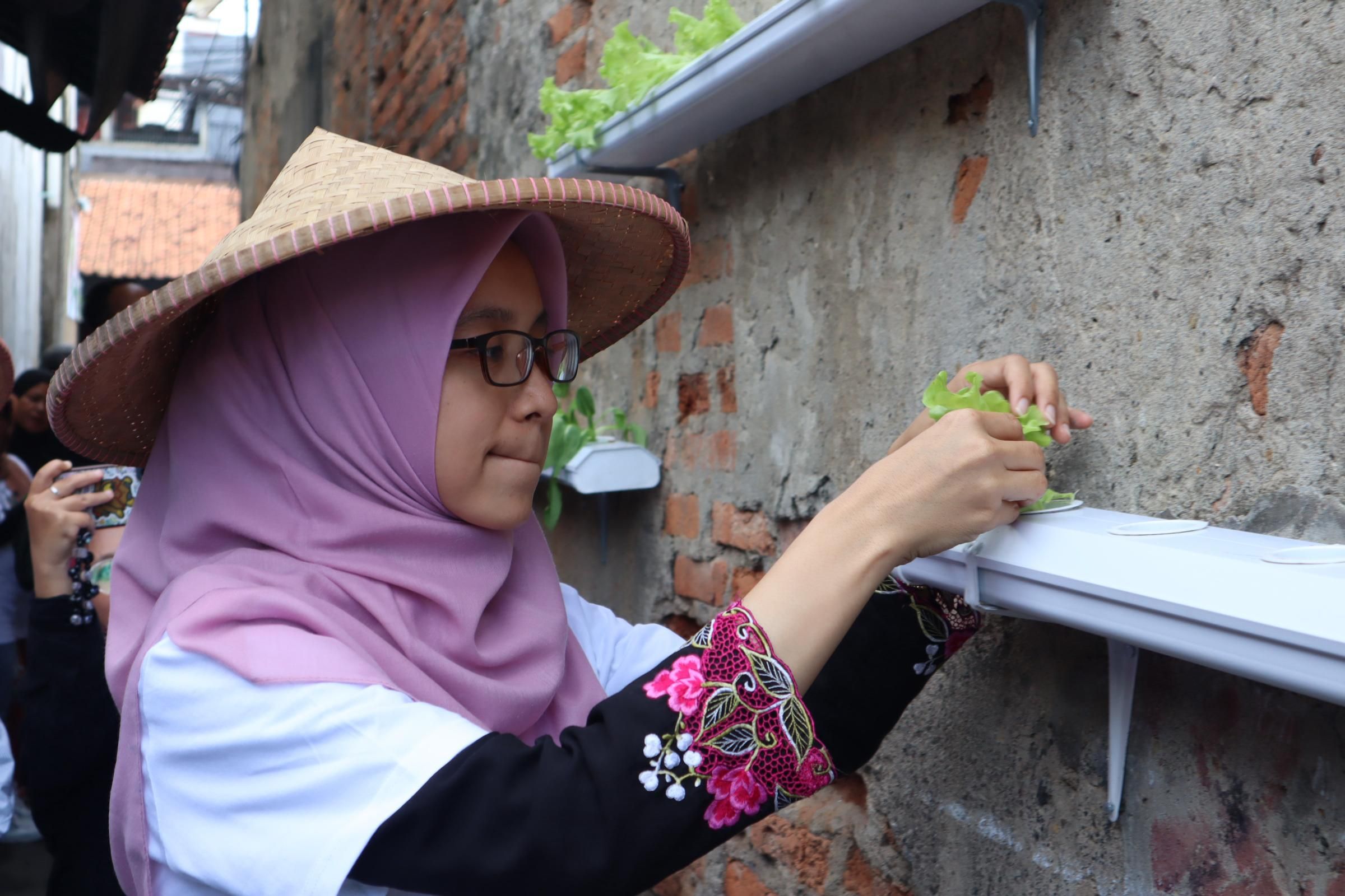 Urban Farming Lorong Mekaar, Langkah PNM Wujudkan Asta Cita Ketahanan Pangan