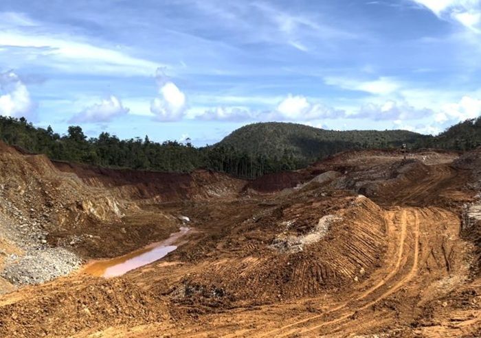 Gawat! Indonesia Puncaki Daftar Negara Kehilangan Hutan Paling Banyak Akibat Tambang