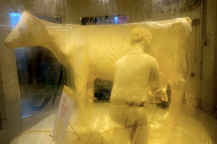 Patung Sapi Mentega ‘Butter Cow’ Seberat 362 Kilogram Dipamerkan di AS, Begini Penampakannya