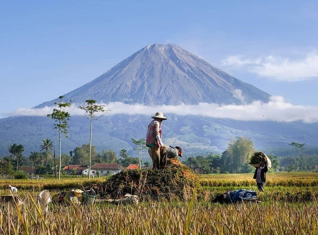 Lagi Viral, Desa Ini Ramai Dikunjungi Wisatawan karena Punya View Gunung Semeru yang Cantik