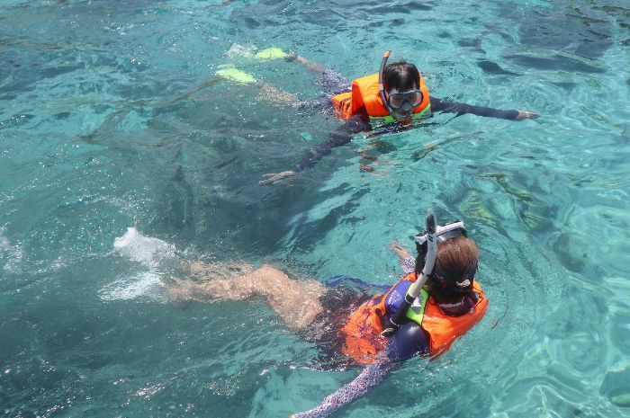Tips Anti-Gagal ke Pink Beach Lombok: Simak Waktu dan Logistik Paling Efisien!