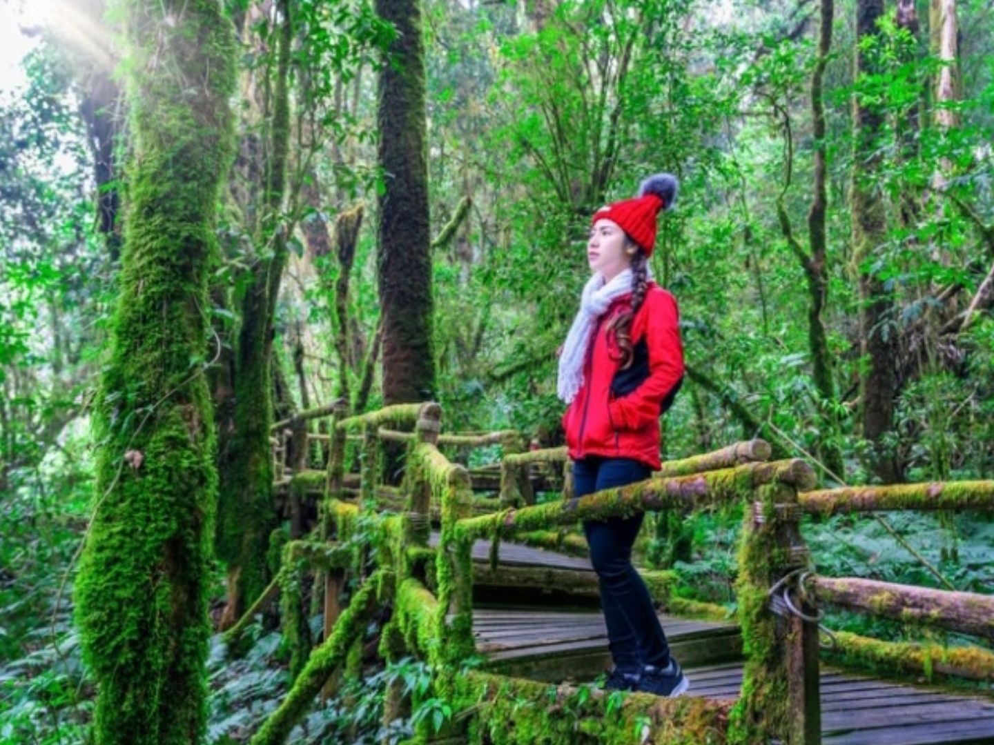 Rekomendasi Wisata Alam Hidden Gem di Malang, Ada yang Seperti di Swiss