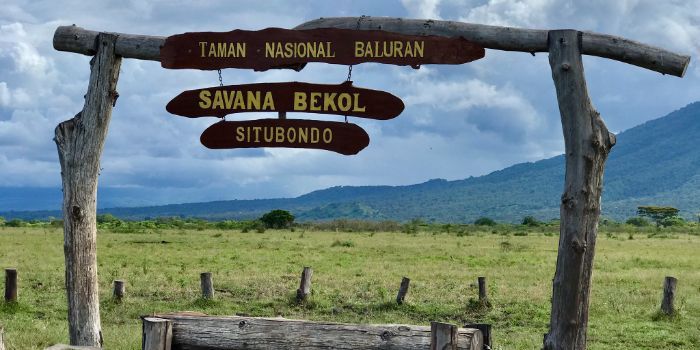 7 Destinasi Wisata Banyuwangi yang Seru dan Ramah Anak: Bikin Liburan Bareng Keluarga Jadi Makin Istimewa!