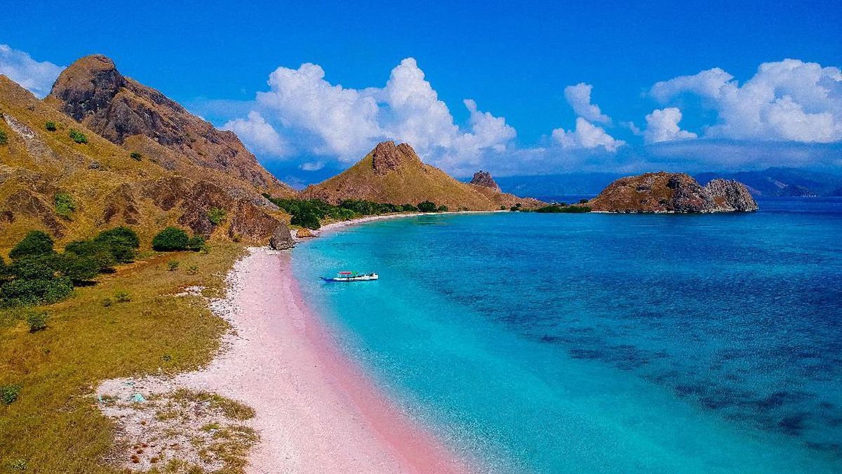 Tips Anti-Gagal ke Pink Beach Lombok: Simak Waktu dan Logistik Paling Efisien!