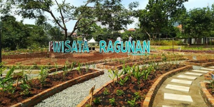 5 Rekomendasi Tempat Lari Ternyaman di Jakarta, Gen Z dan Milenial Wajib Tahu!
