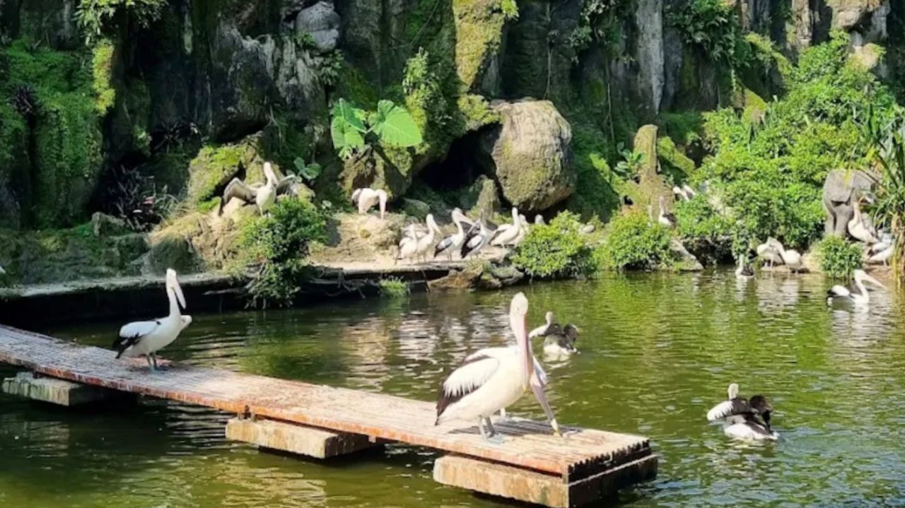 7 Tempat Wisata Edukasi di Jakarta yang Seru untuk Liburan Keluarga