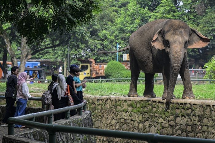 6 Tempat Wisata di Jakarta untuk Anak Berinteraksi dengan Hewan